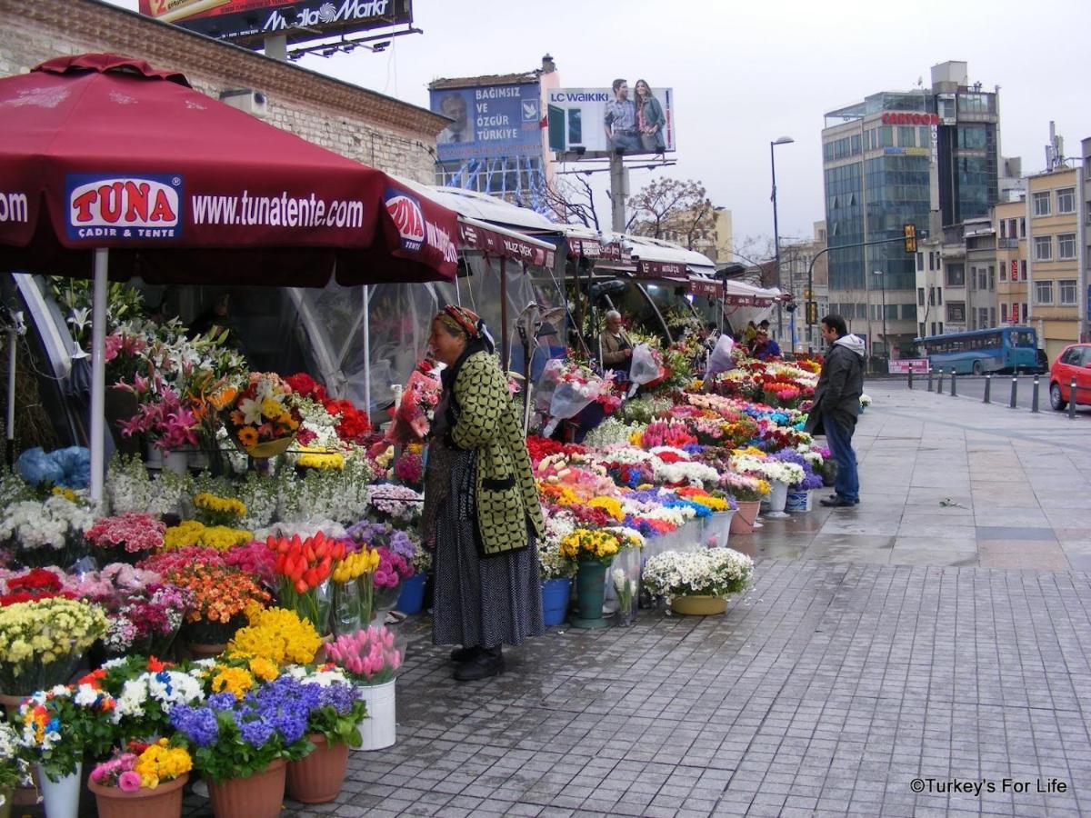 Taksim Lion 37 Studios İstanbul Dış mekan fotoğraf